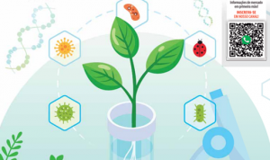 HORTIFRÚTI/CEPEA: Bioinsumos - uma tendência sustentável