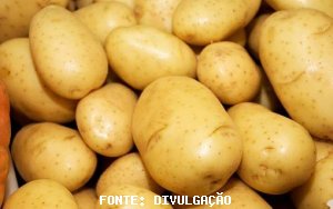 BATATA/CEPEA: Com menor oferta do Sul, preço sobe nos atacados