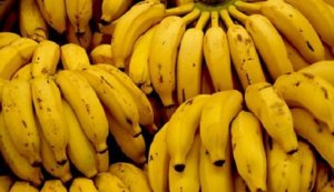 BANANA/CEPEA: Oferta de prata ainda está moderada