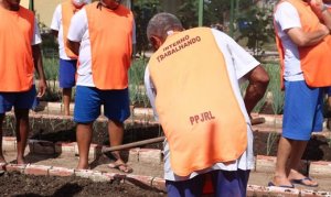 HORTIFRUTI/CEPEA: Internos realizam curso de horticultura em penitenciária no Piauí