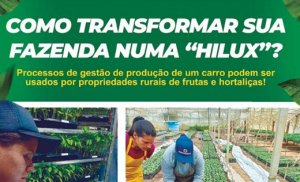 HORTIFRUTI/CEPEA: Como transformar sua fazenda numa 