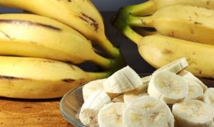 BANANA/CEPEA: Clima acelera maturação e oferta sobe no Norte de SC