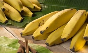 BANANA/CEPEA: Com oferta restrita e boa procura, cotações reagem em Linhares