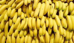 BANANA/CEPEA: Volta às aulas favorece comércio