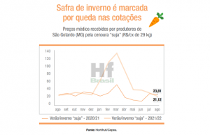 CENOURA/CEPEA: Safra de inverno é marcada por queda nas cotações