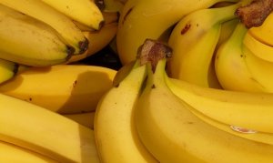 BANANA/CEPEA: Preços estão altos em SC em outubro