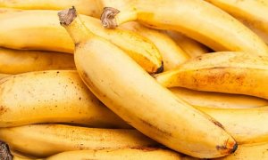 BANANA/CEPEA: Preço da prata litoral recua no Vale do Ribeira