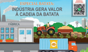 HORTIFRÚTI/CEPEA: Especial batata