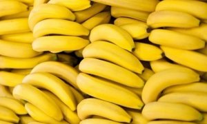 BANANA/CEPEA: Cotações da nanica caem no Vale do Ribeira