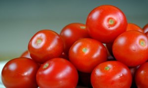 TOMATE/CEPEA: Chuvas acarretam em descartes nas roças e no atacado