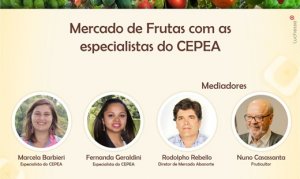 HORTIFRUTI/CEPEA: Pesquisadoras participam de bate-papo da Abanorte