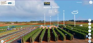 ESPAÇO DO PARCEIRO: Imersão digital leva novidades em horticultura para produtores brasileiros