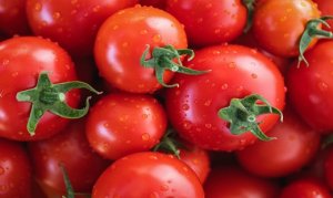 TOMATE/CEPEA: Com final da safra de inverno, cotações continuam em alta