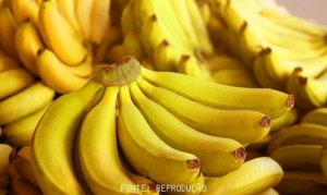 BANANA/CEPEA: Prata se desvaloriza em Delfinópolis