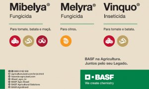 ESPAÇO DO PARCEIRO: BASF lança produtos para o mercado de hortifrúti