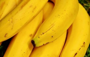 BANANA/CEPEA: Oferta de nanica pode aumentar nos próximos meses