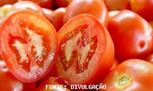 TOMATE/CEPEA: Cotações 