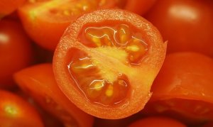 TOMATE/CEPEA: Safra de verão catarinense tem produção bem acima da última temporada