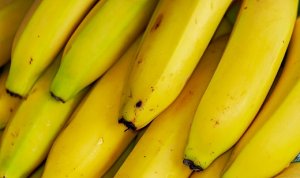 BANANA/CEPEA: Safra da nanica atrasa; oferta aumenta em junho