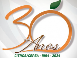 CITROS/CEPEA: Três décadas de divulgação de preços e análises do mercado citrícola