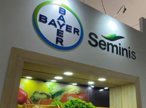 ESPAÇO DO PARCEIRO: Bayer leva inovações e espaço interativo na 29ª Hortitec