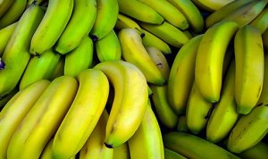 BANANA/CEPEA: Nanica registra as maiores perdas na Ceagesp