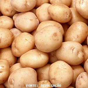 BATATA/CEPEA: Cotações encerram a semana com pouca variação