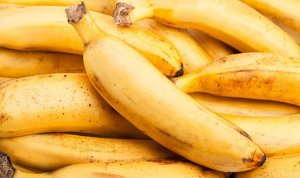 BANANA/CEPEA: Apesar da baixa oferta, produtores paulistas não conseguem subir preços