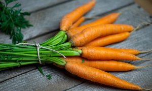 CARROT/CEPEA: 2024: Summer harvest has high prices, in winter, prices are below cost