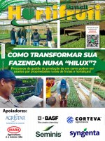 Transforme sua fazenda em uma Hilux!