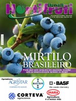 Blueberries: Fruit with growing global consumption is also growing in Brazil